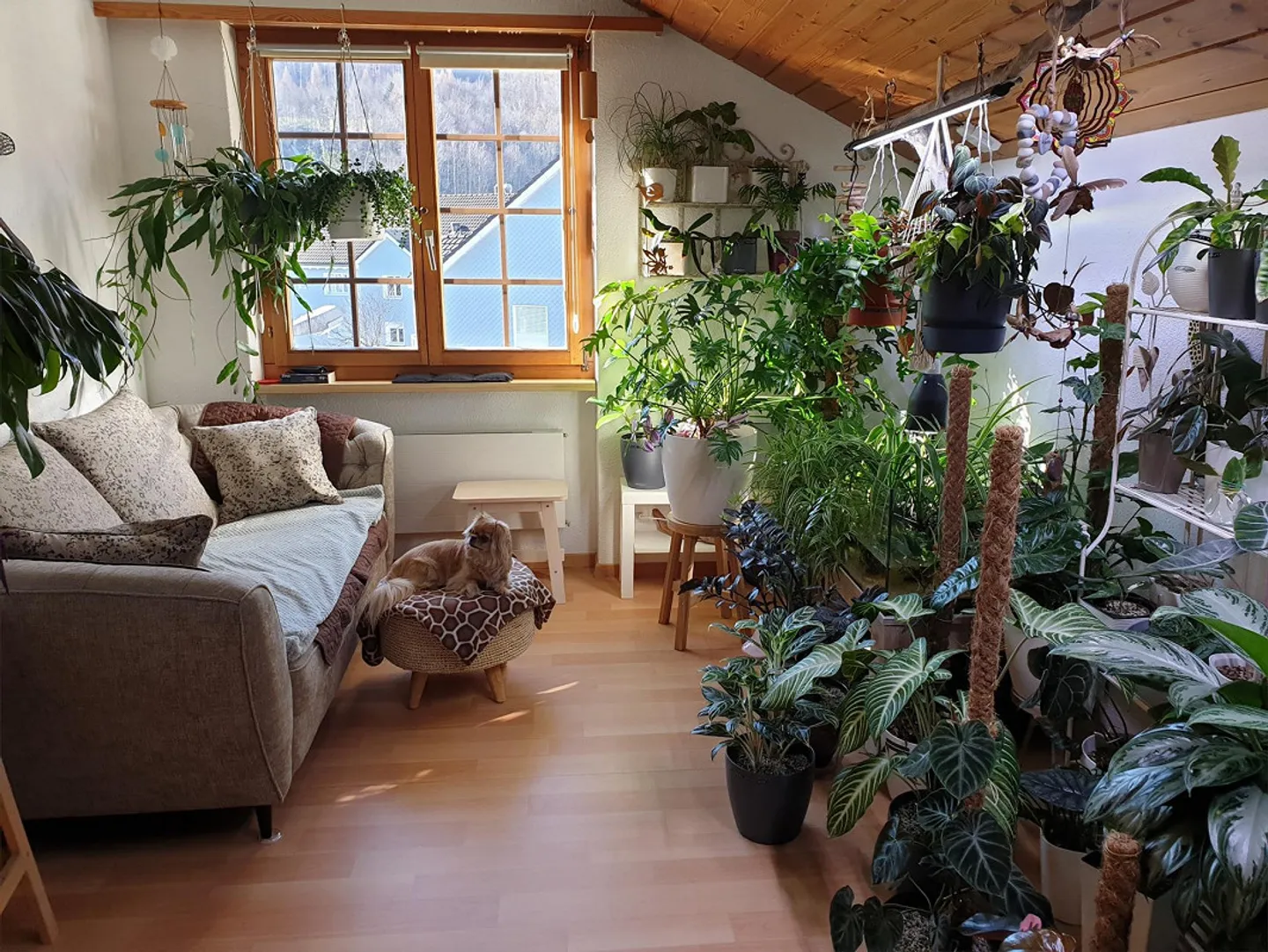 Centrally located spacious 2.5-room attic apartment - Photo 2 of 8