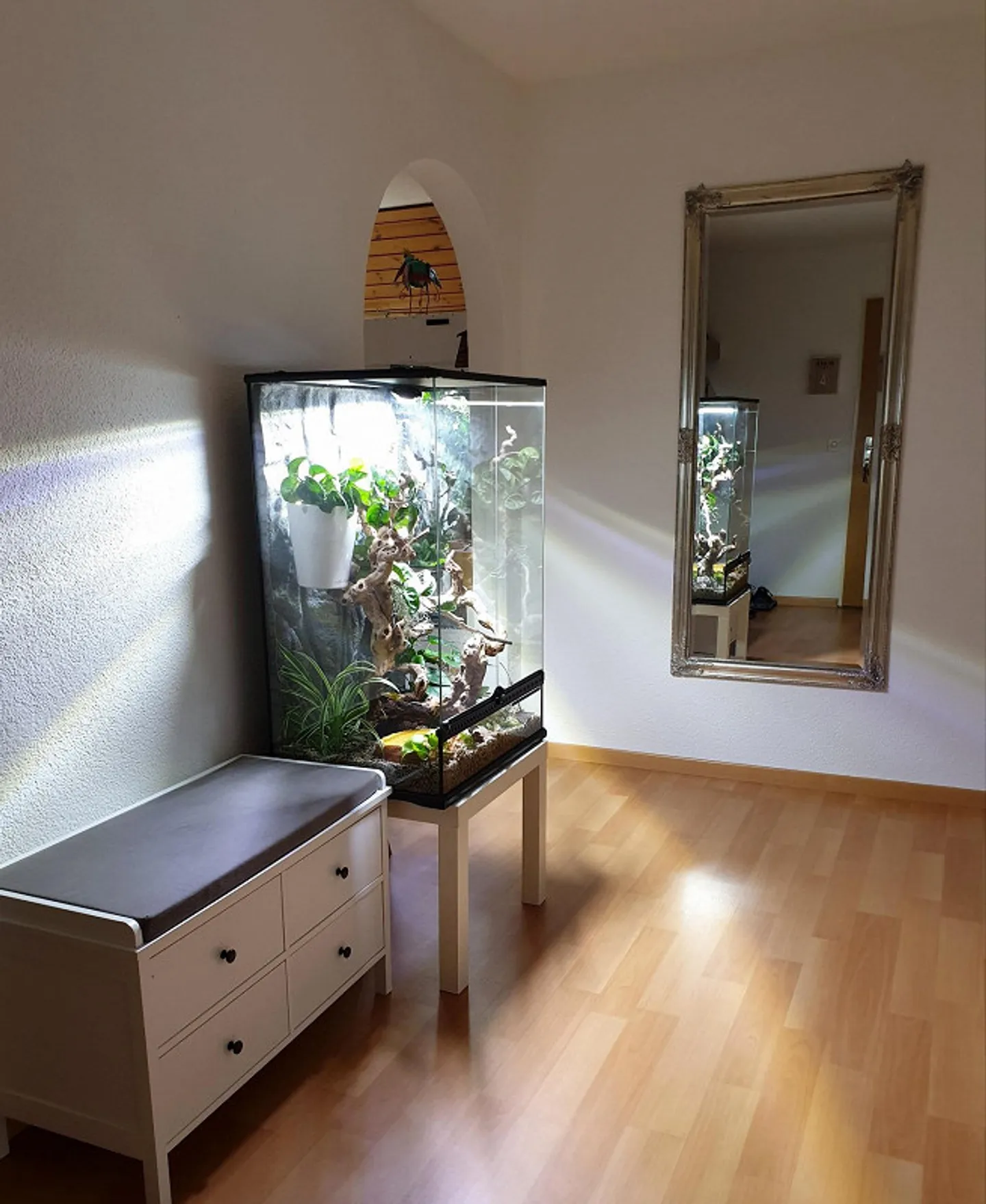Centrally located spacious 2.5-room attic apartment - Photo 4 of 8