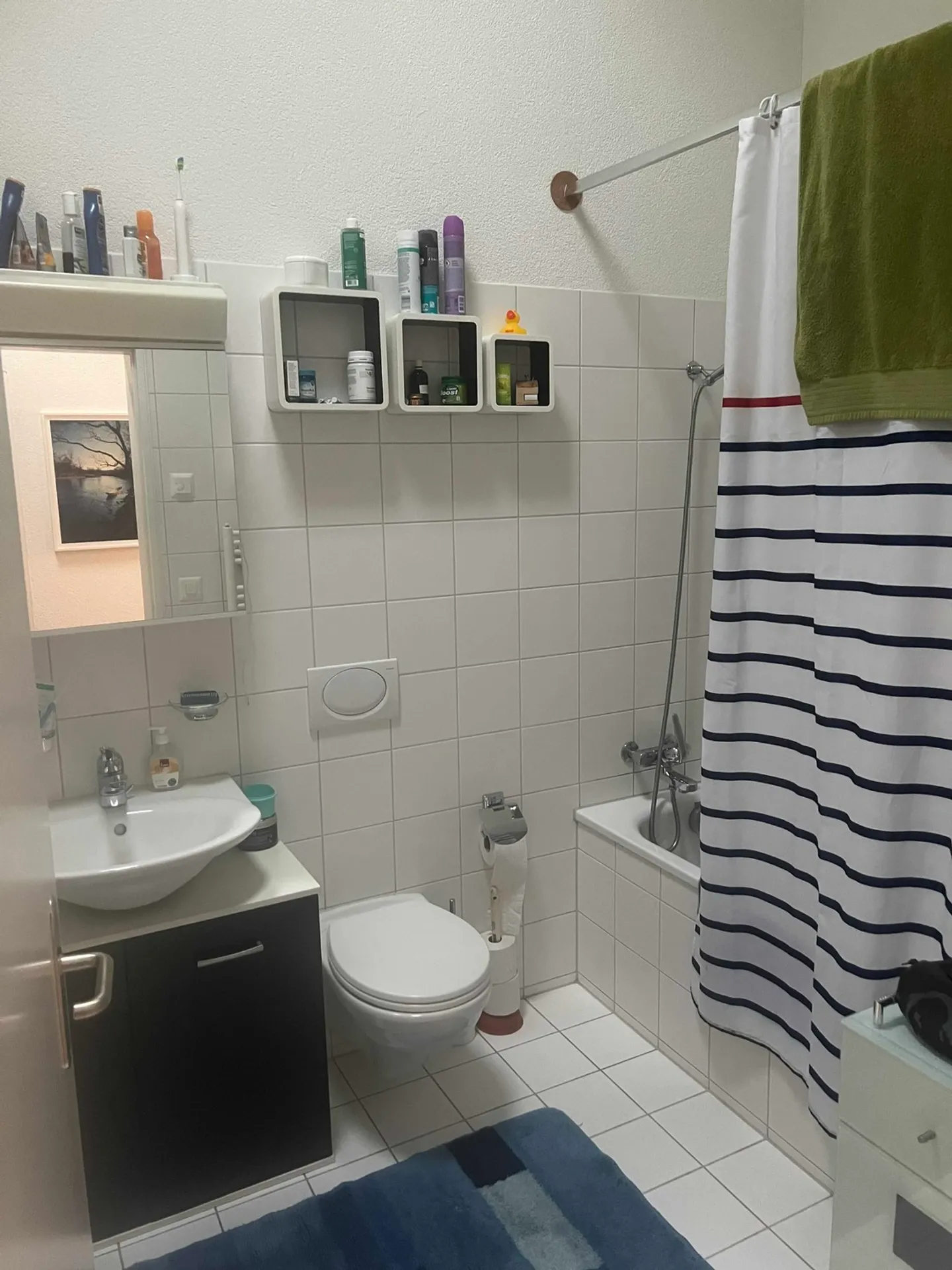 APPARTEMENT 2½ PIÈCES À BERNE - ALTENBERG, MEUBLÉ, TEMPORAIRE - Photo 5 sur 6
