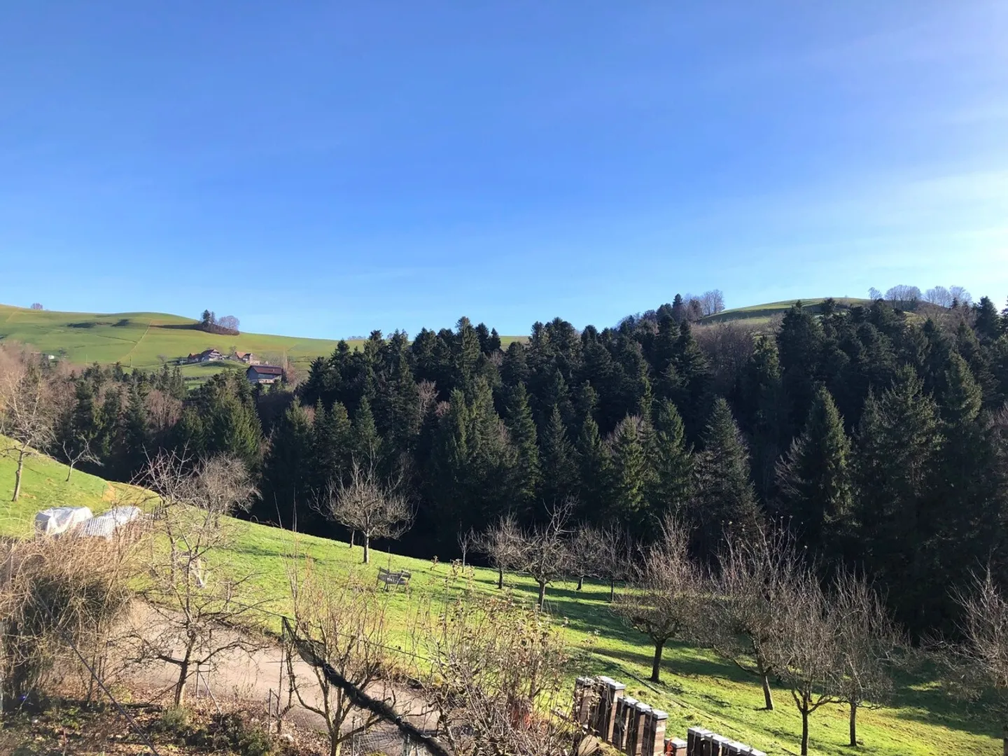 FÜR NATURFREUNDE IN ALLEINLAGE - Photo 1 sur 6