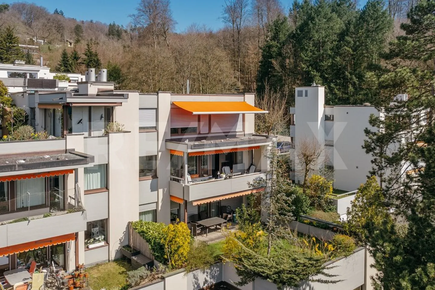 Bright 4½-Room Apartment - Photo 3 of 13