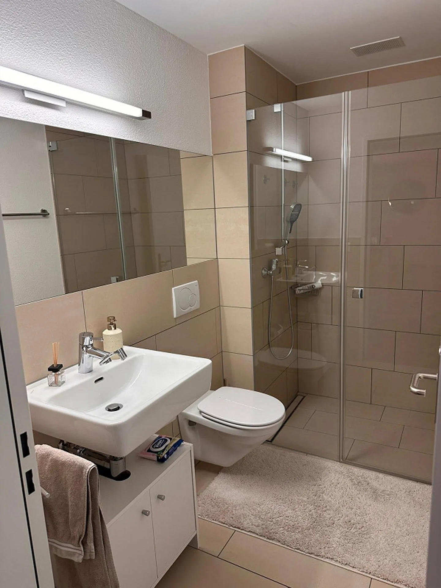 Cercasi nuovo inquilino per un bellissimo appartamento di 5,5 stanze con vista lago - Foto 7 di 12