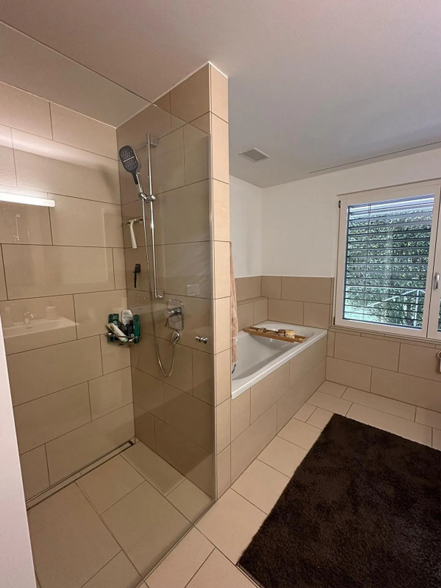 Cercasi nuovo inquilino per un bellissimo appartamento di 5,5 stanze con vista lago - Foto 8 di 12