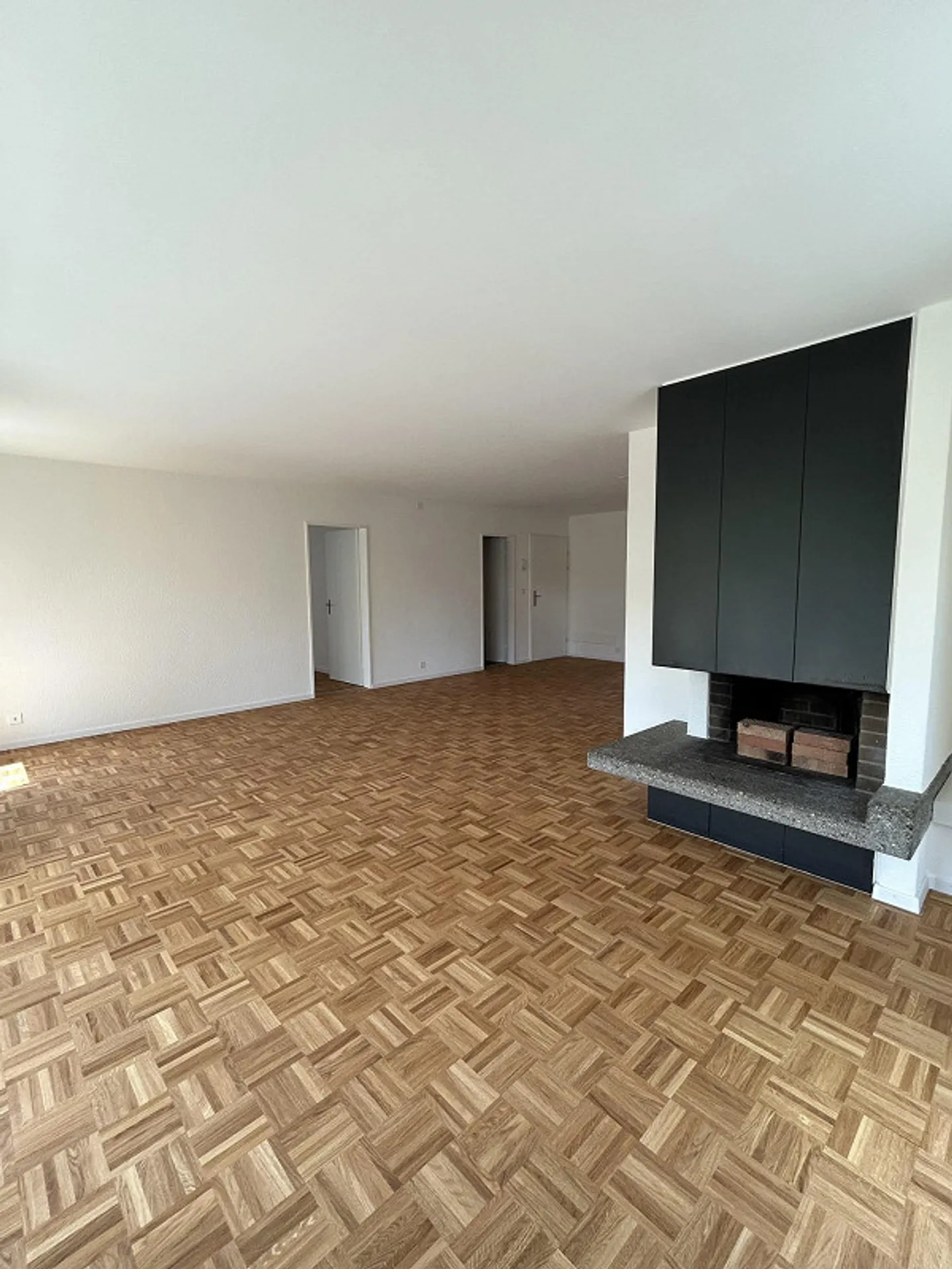 Appartement lumineux avec balcon, cheminée et équipements modernes - Photo 3 sur 8