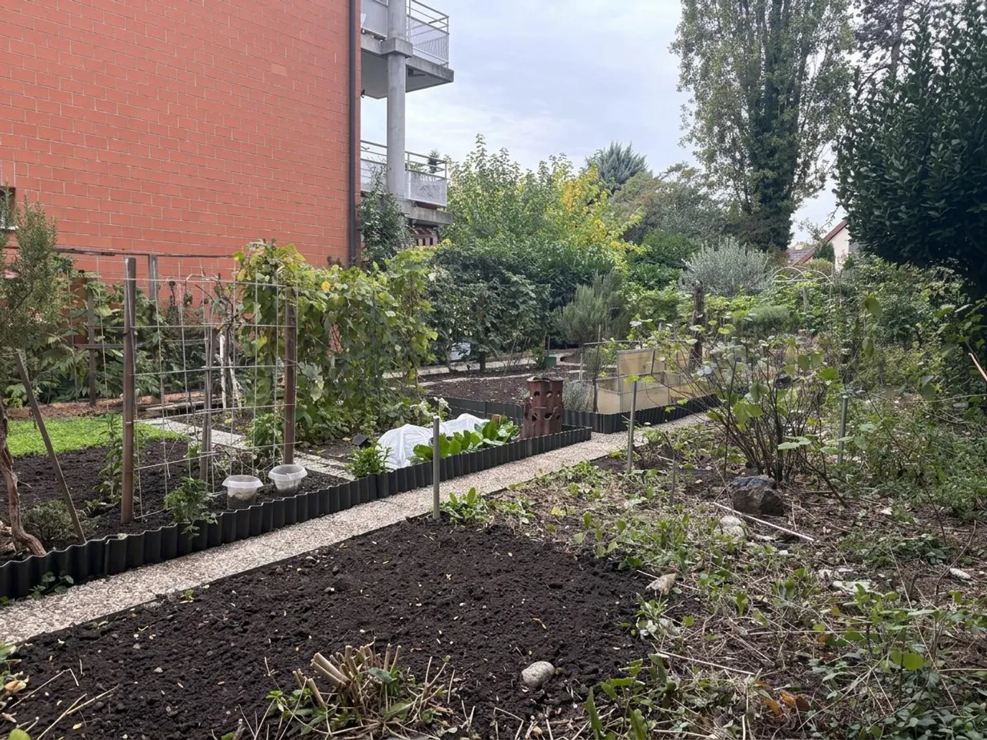In esclusiva! Incantevole appartamento di 5 locali nel cuore di Onex - Foto 13 di 13