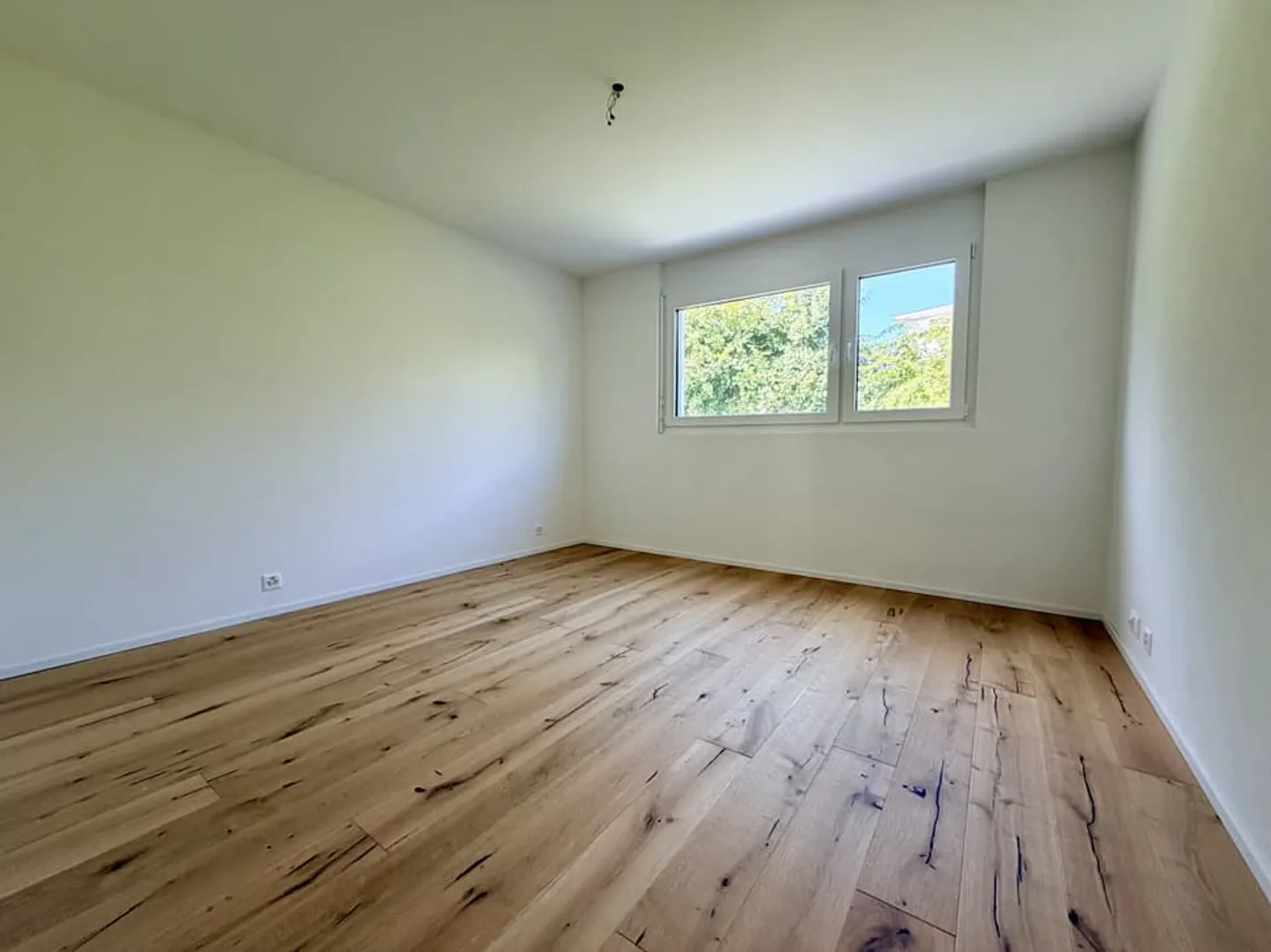 Available immediately - Photo 7 of 13