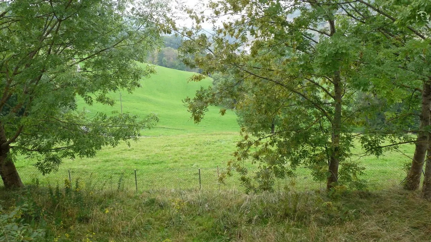 Einfamilienhaus kaufen - Foto 9 von 10