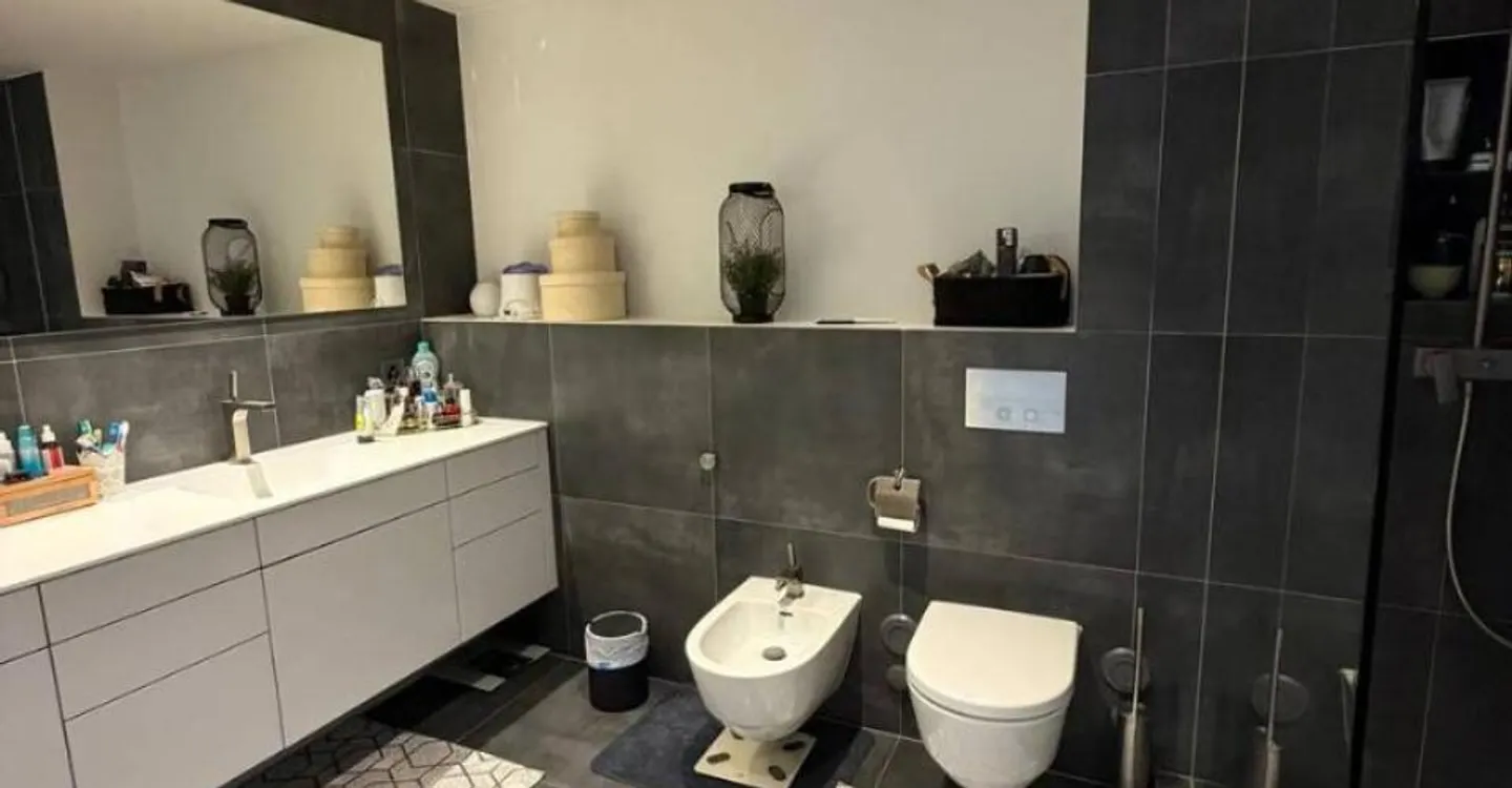Attique de Luxe à Vessy - Photo 10 sur 12