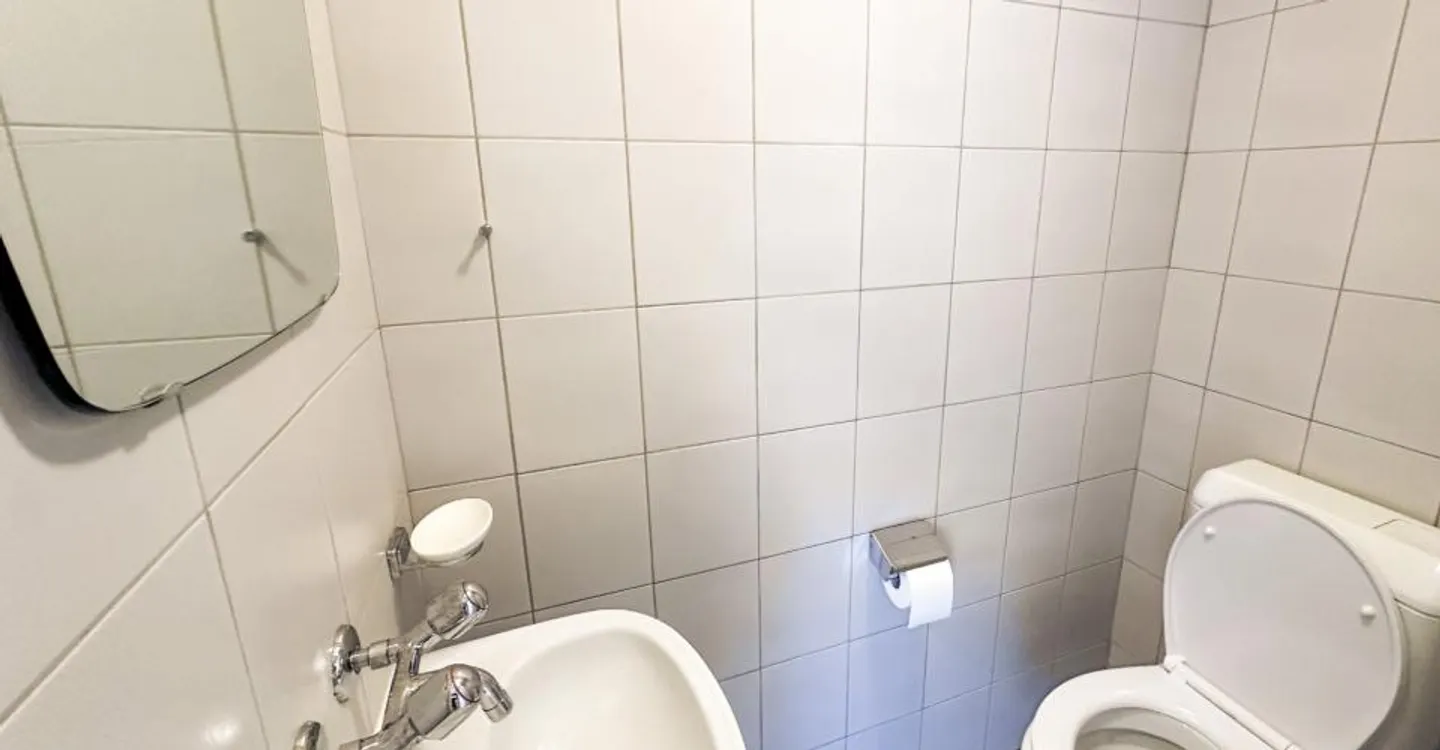 Appartement de 4.5 pièces sous les toits avec séjour entièrement repensé - Foto 7 di 10