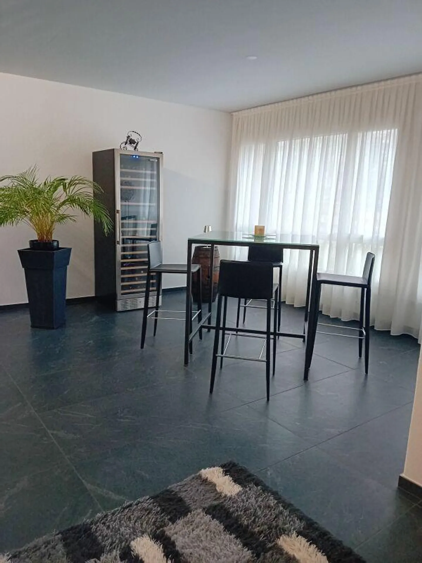 Attico di Lusso a Locarno - Foto 3 di 10