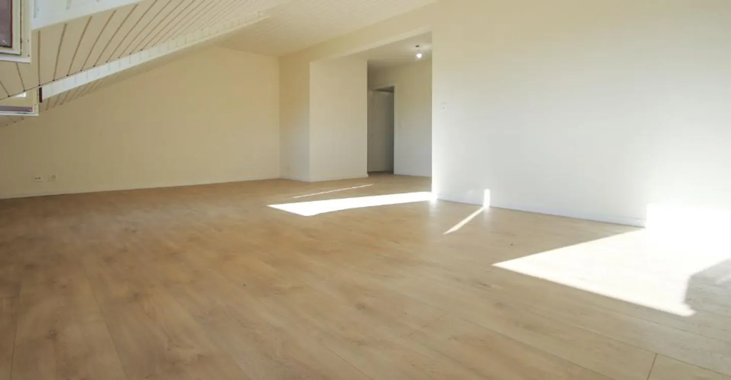 Appartamento ristrutturato di 4,5 locali con vista libera sulle Prealpi - Foto 4 di 9
