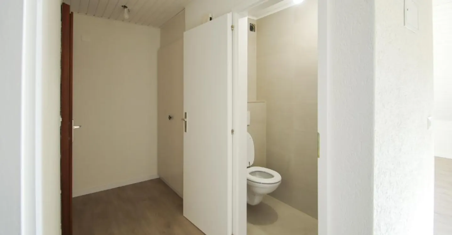 Appartamento ristrutturato di 4,5 locali con vista libera sulle Prealpi - Foto 7 di 9
