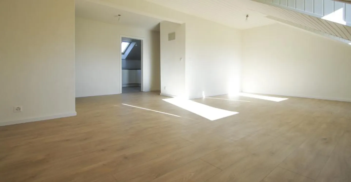 Appartamento ristrutturato di 4,5 locali con vista libera sulle Prealpi - Foto 5 di 9