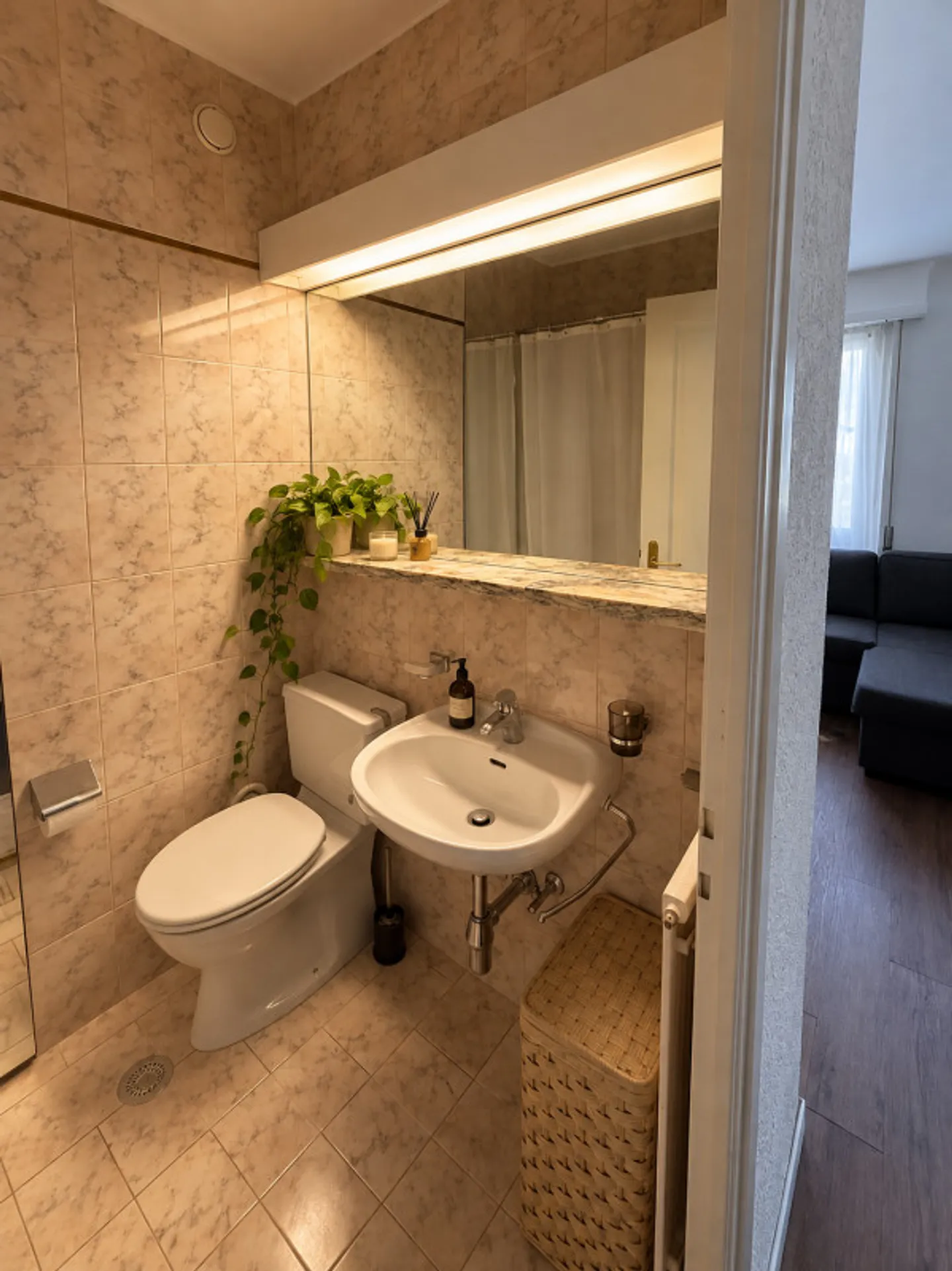 Magnifico appartamento arredato 2.5 locali, 45m2, a Losanna - Foto 5 di 5