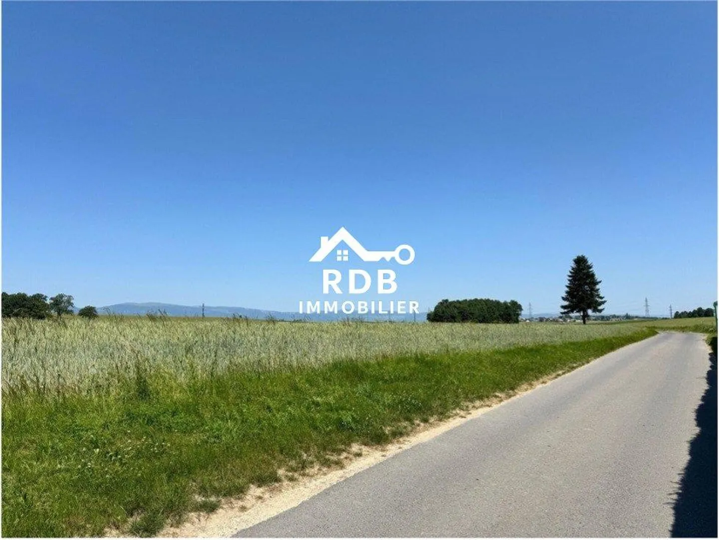 RAVISSANT DUPLEX 3.5 PIÈCES RÉNOVÉ EN 2025, AU CUR DE LA NATURE - Photo 12 sur 13