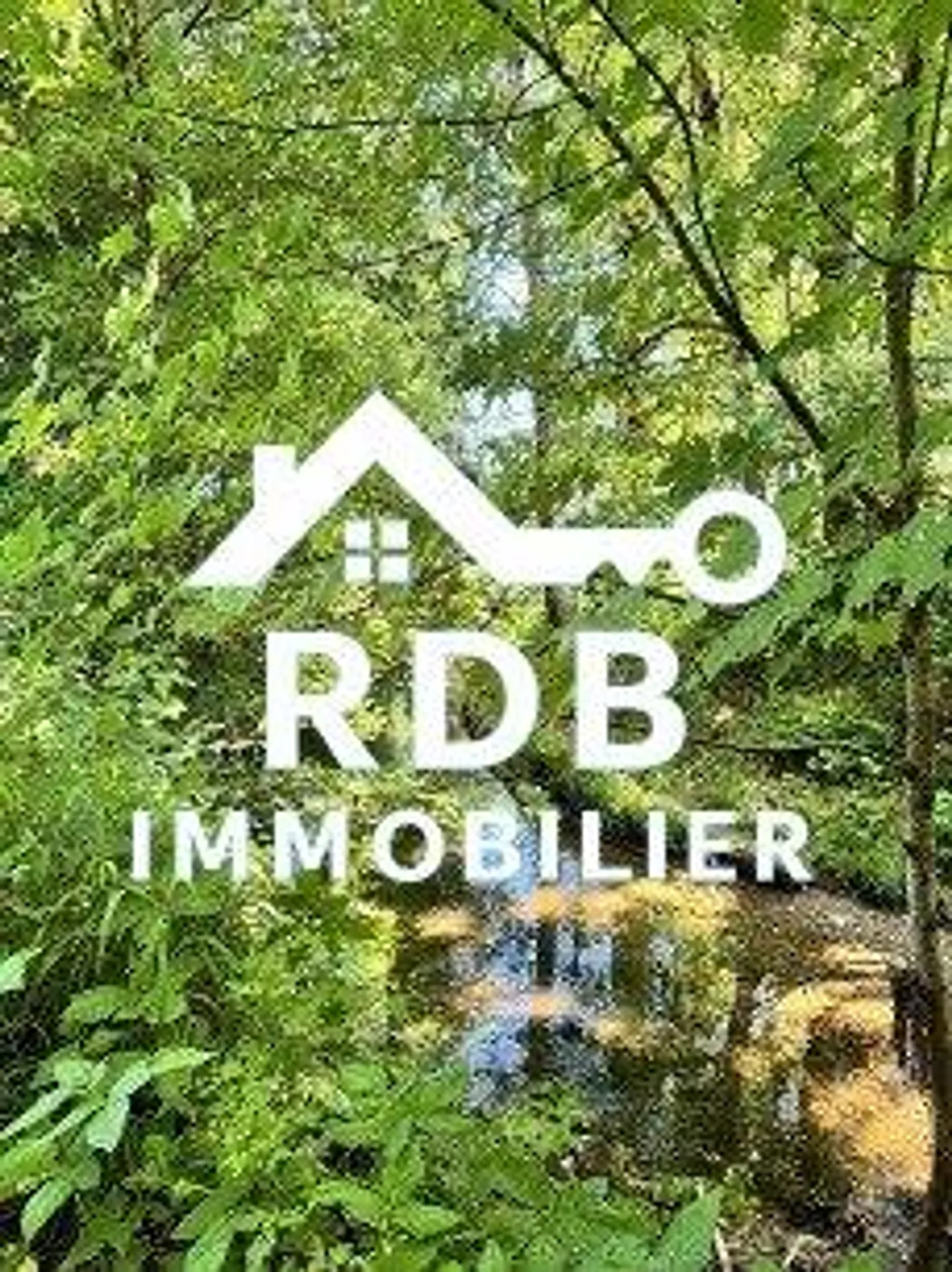 RAVISSANT DUPLEX 3.5 PIÈCES RÉNOVÉ EN 2025, AU CUR DE LA NATURE - Photo 13 sur 13