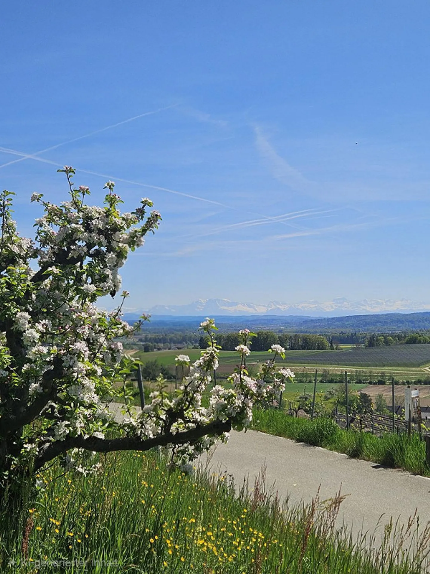 Opportunité d'investissement avec vue panoramique dégagée - Photo 9 sur 12