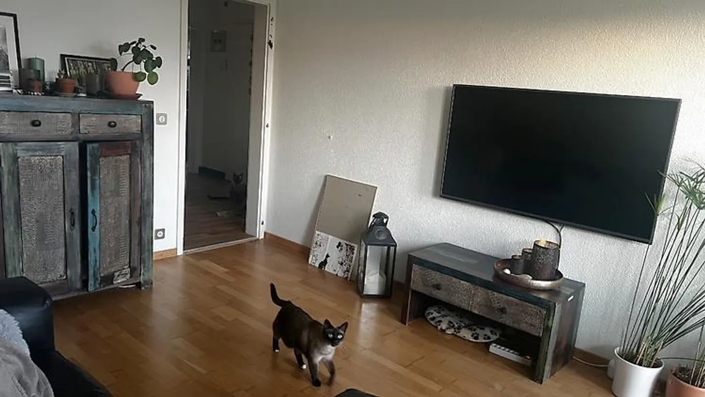 APPARTAMENTO 2 STANZE A MÜNCHENBUCHSEE (BE), ARREDATO, TEMPORANEO - Foto 1 di 5