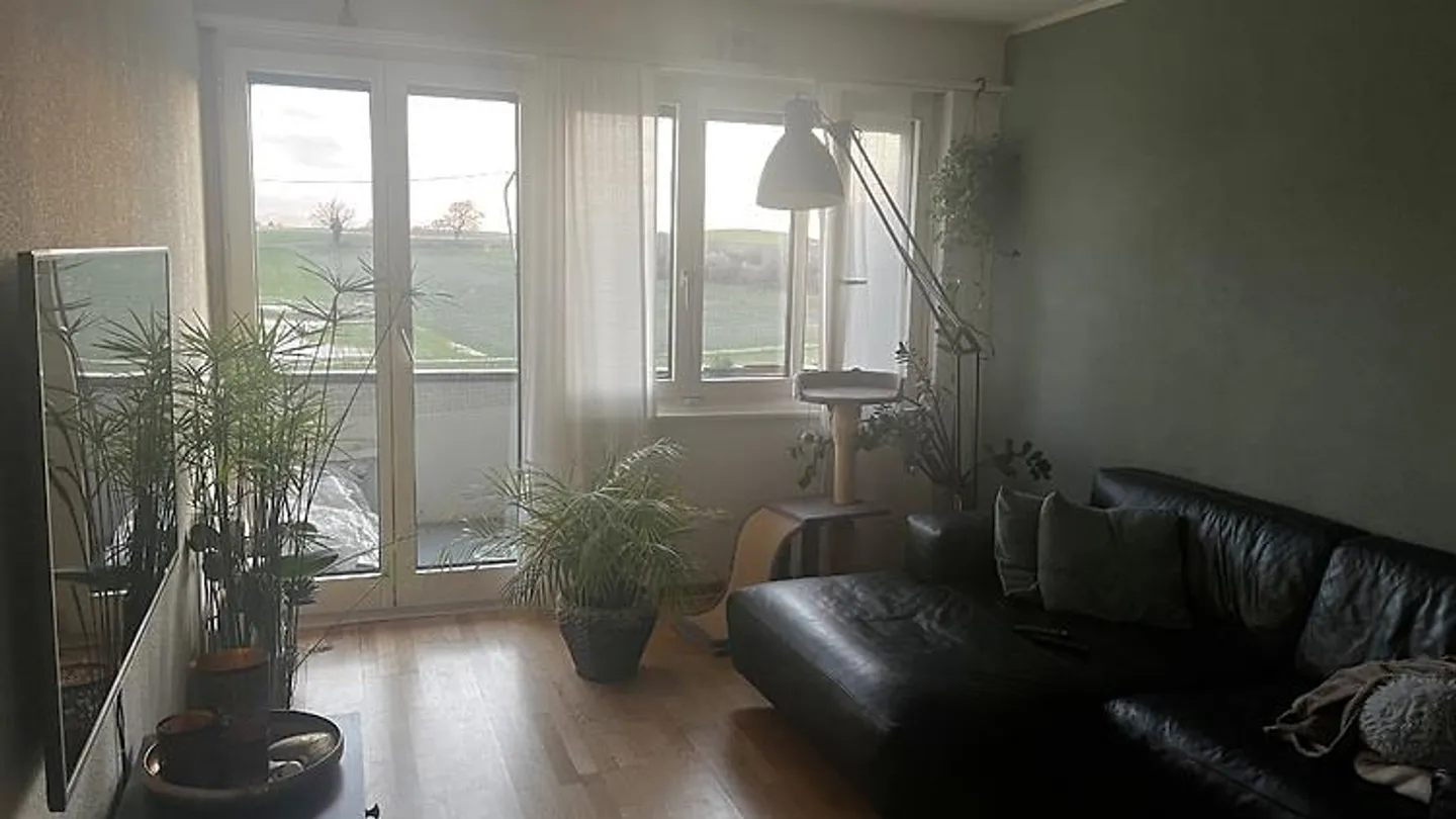 APPARTAMENTO 2 STANZE A MÜNCHENBUCHSEE (BE), ARREDATO, TEMPORANEO - Foto 2 di 5