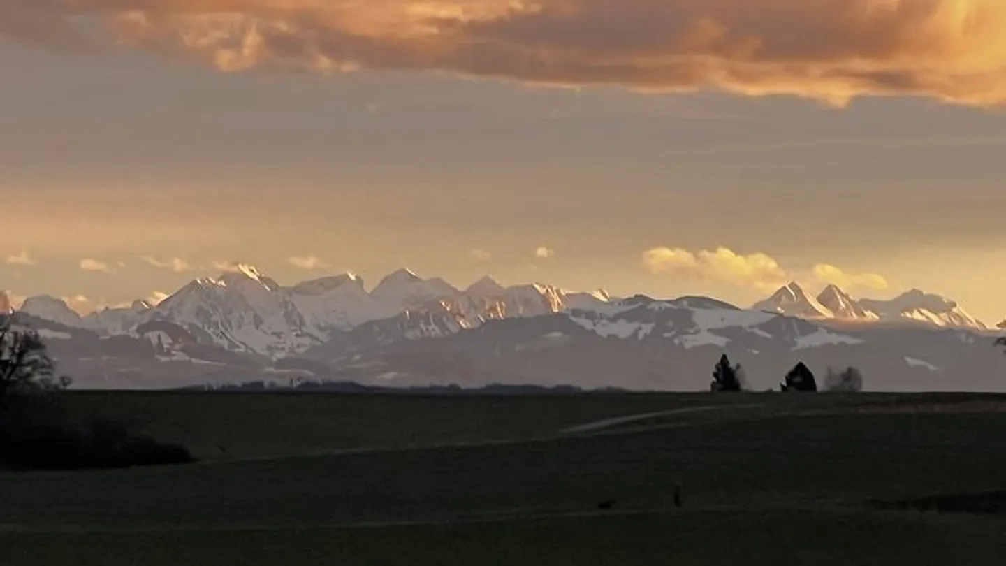 APPARTAMENTO 2 STANZE A MÜNCHENBUCHSEE (BE), ARREDATO, TEMPORANEO - Foto 5 di 5