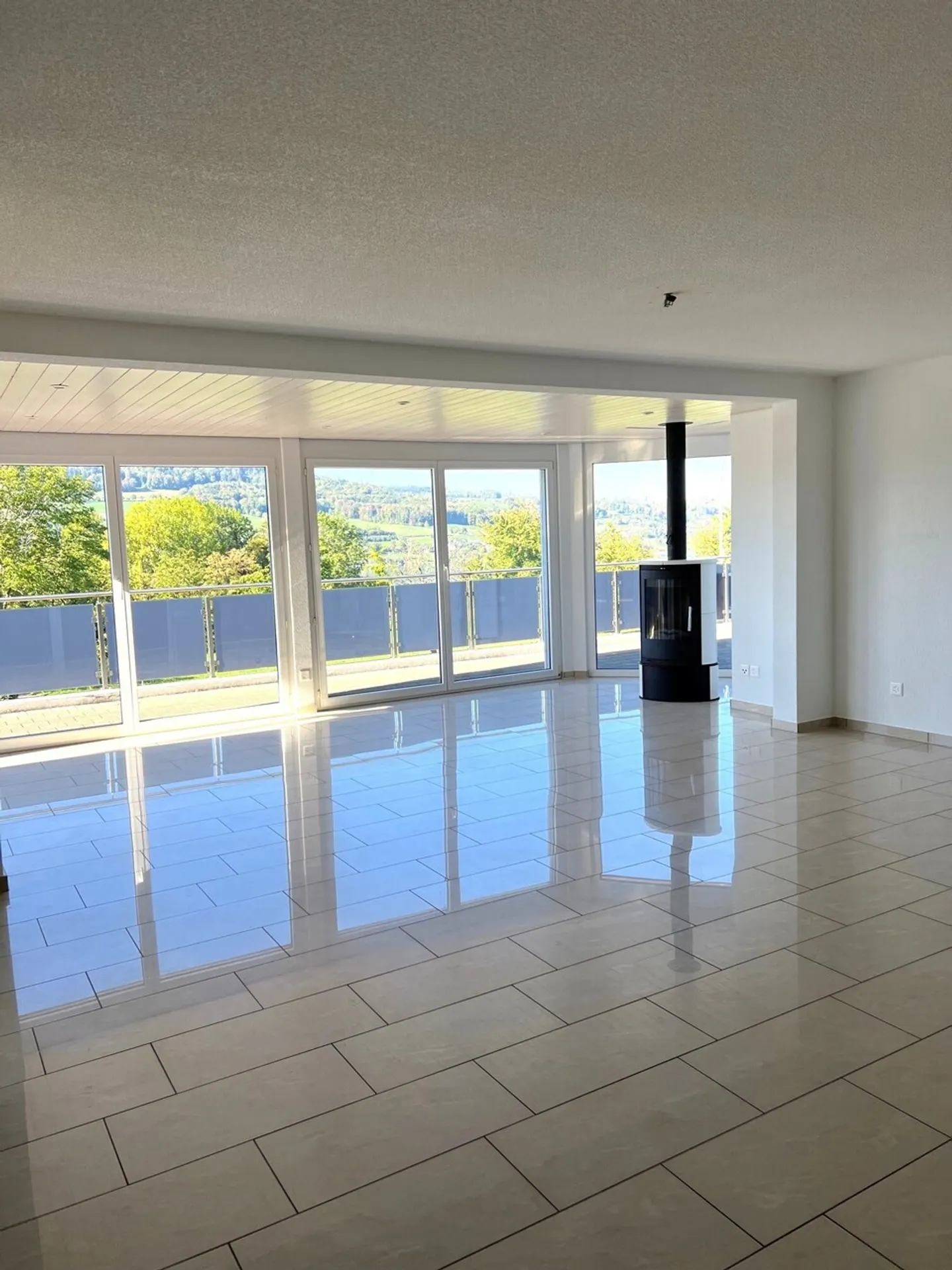 Geräumige Wohnung mit Terrassen - Foto 2 von 6
