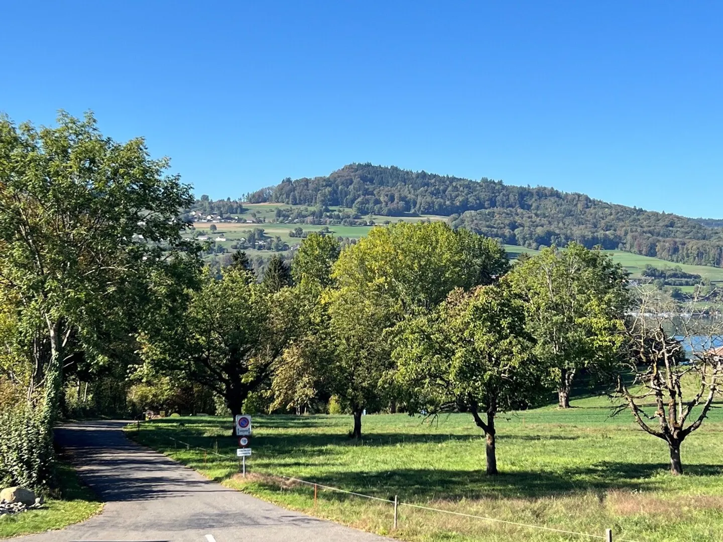 Geräumige Wohnung mit Terrassen - Foto 6 von 6