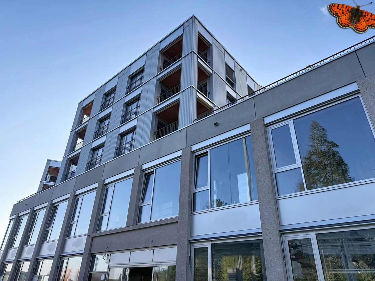 3½ STANZE - Nuovo con balcone - Foto 12 di 13