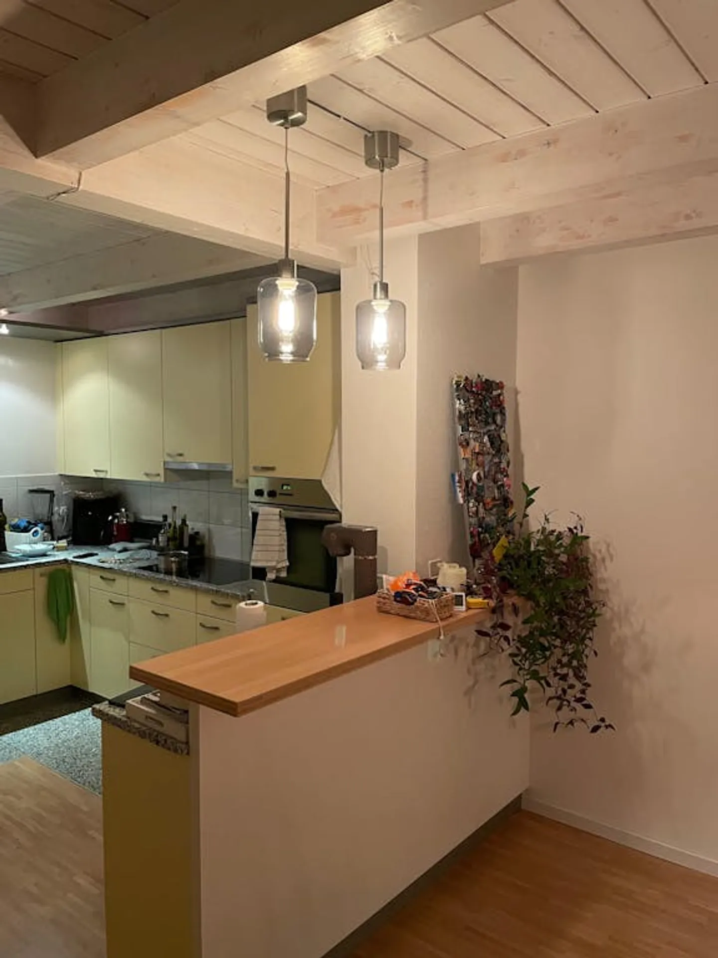 Casa singola in affitto - Foto 5 di 10