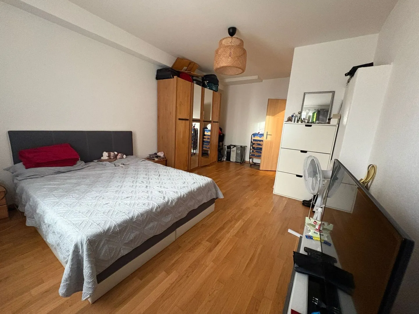 Appartamento di 4,5 locali al piano terra - Foto 3 di 9