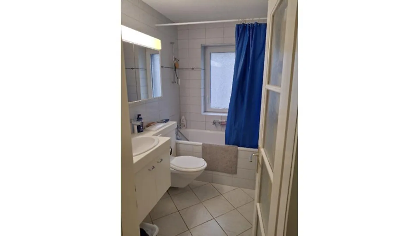 Möblierte Wohnung in Schaffhausen - Foto 8 von 9