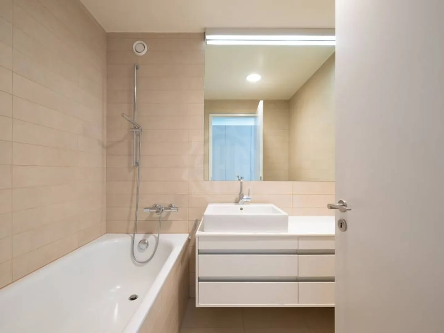 Magnificent apartment - Geneva - Photo 9 of 12