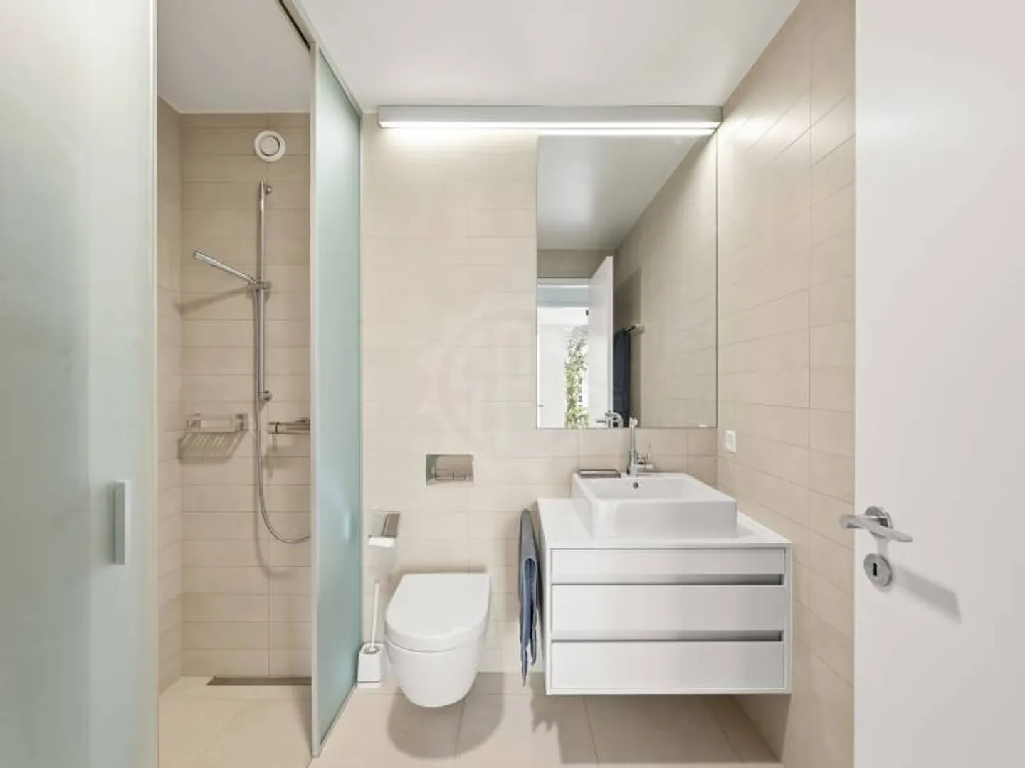 Magnificent apartment - Geneva - Photo 11 of 12