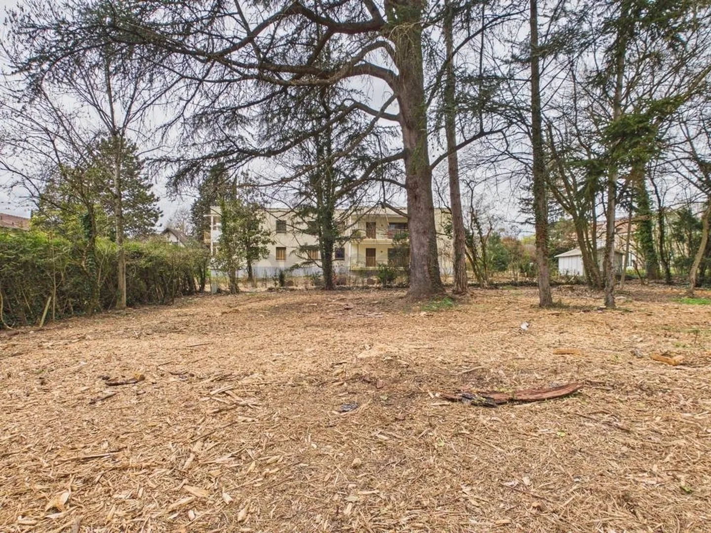 Investi in un'oasi verde – Onex, Zona 5 - Foto 1 di 7