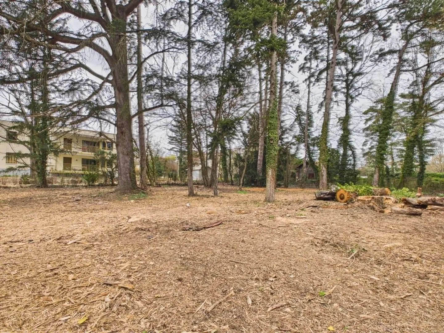 Investi in un'oasi verde – Onex, Zona 5 - Foto 6 di 7