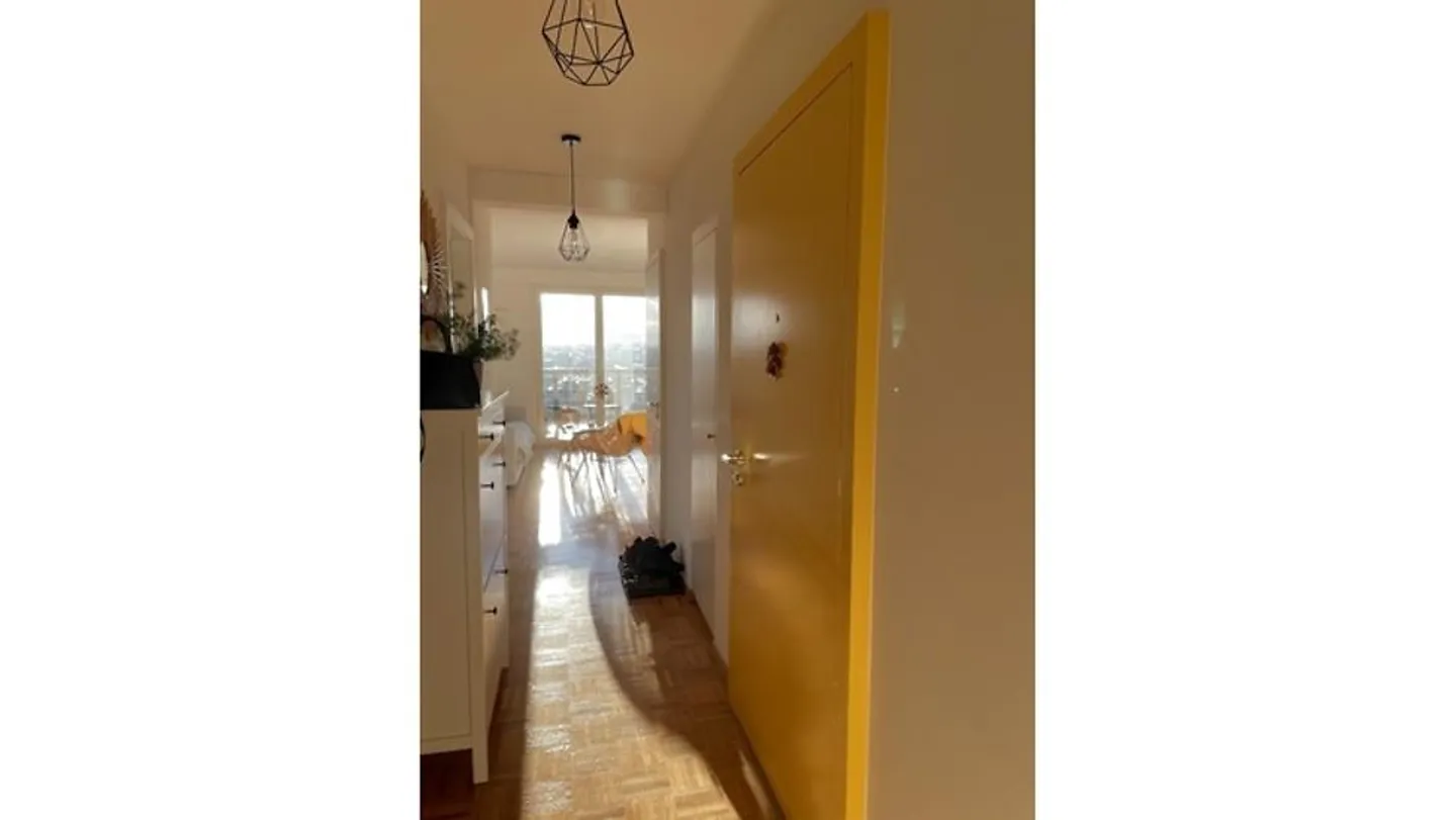 Charmant appartement 4 pièces à Genève - Photo 5 sur 9