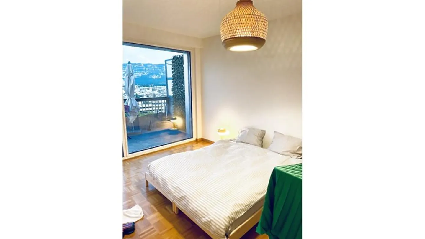 Charmant appartement 4 pièces à Genève - Photo 7 sur 9