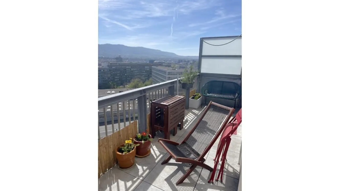 Charmant appartement 4 pièces à Genève - Photo 8 sur 9