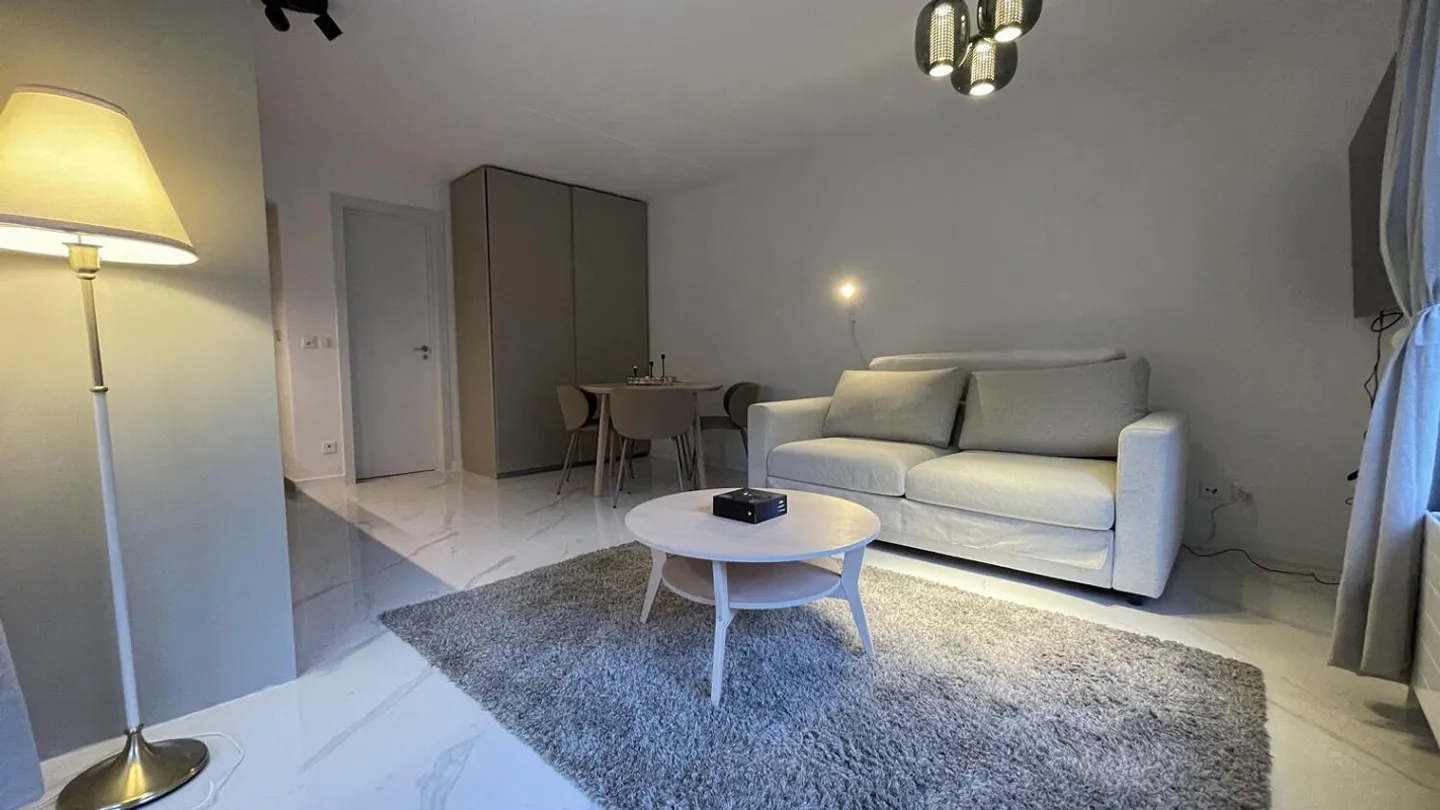 Charming 1-room apartment with spectacular views in Feusisberg. - Photo 5 of 19