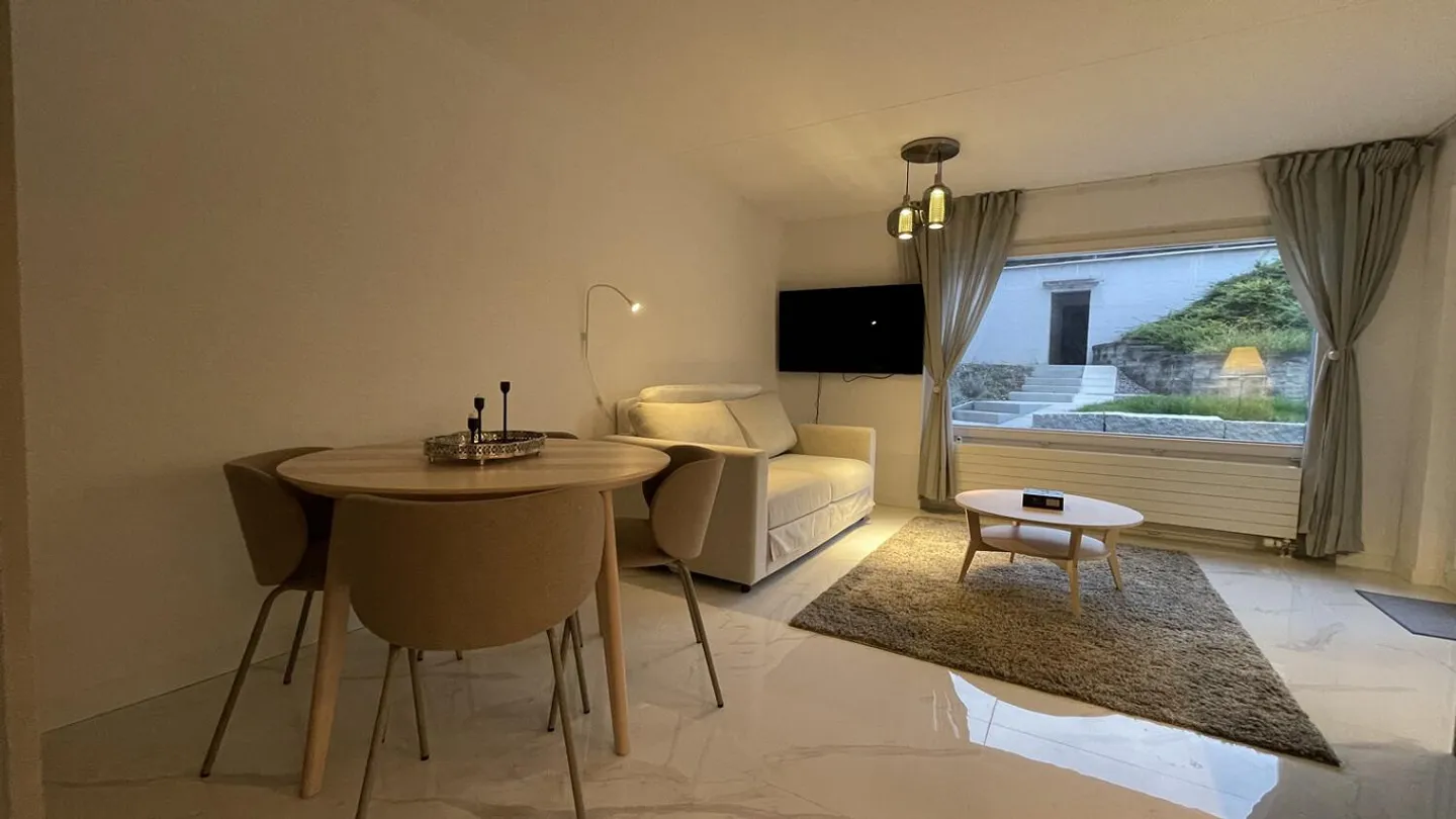 Charming 1-room apartment with spectacular views in Feusisberg. - Photo 7 of 19