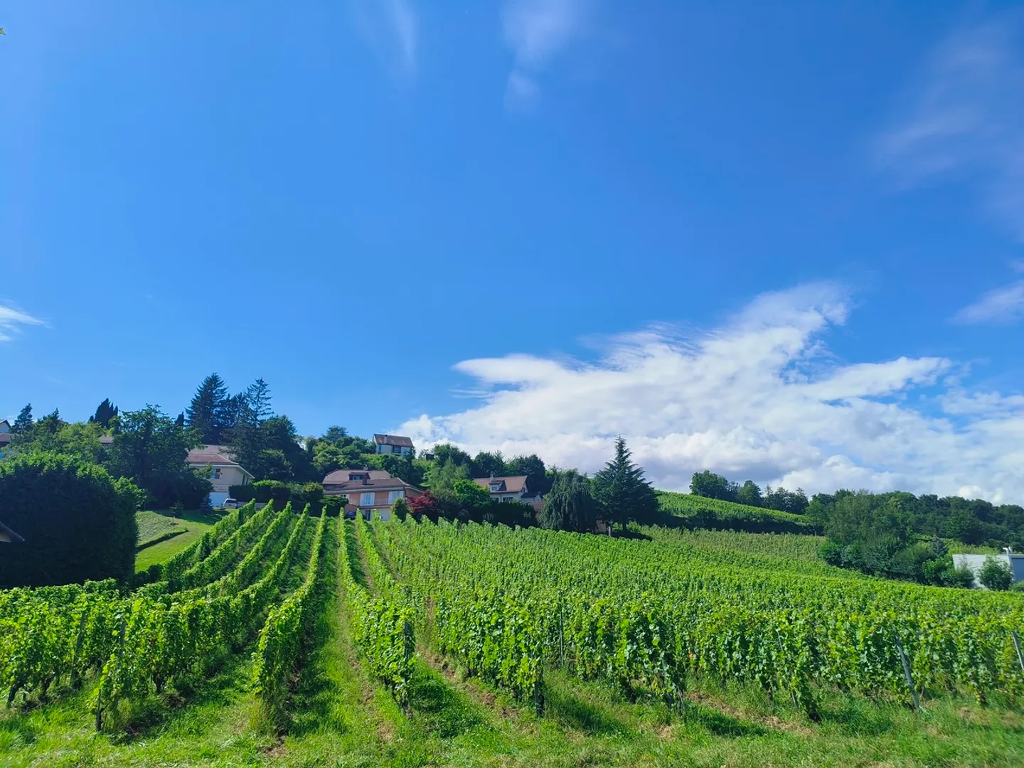 Immeuble Mixte Moderne - Photo 7 sur 10