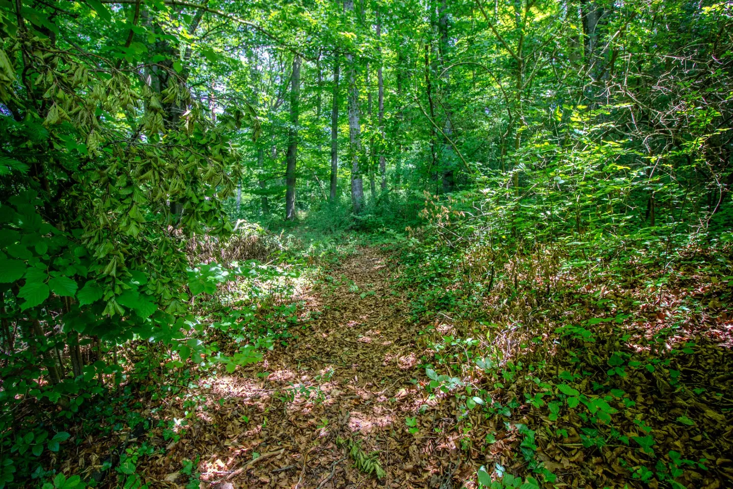 Where the path ends, home begins - Photo 30 of 37