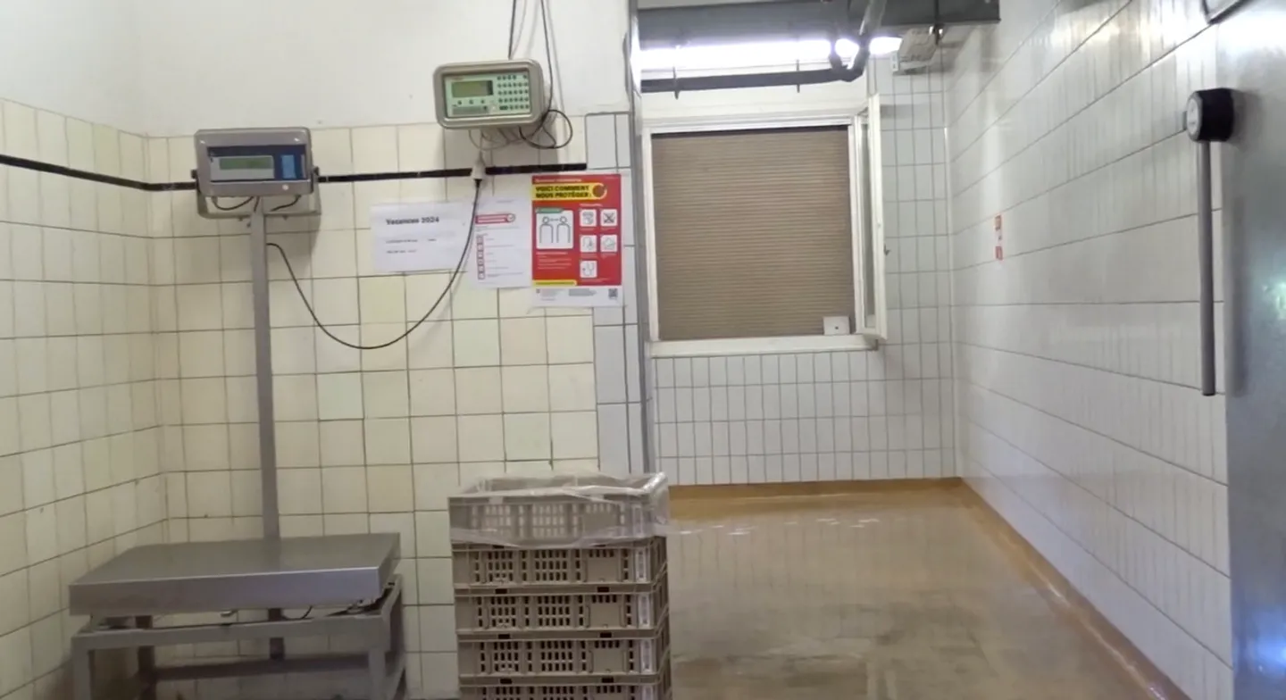 Charming Farmhouse Retreat - Photo 3 of 7