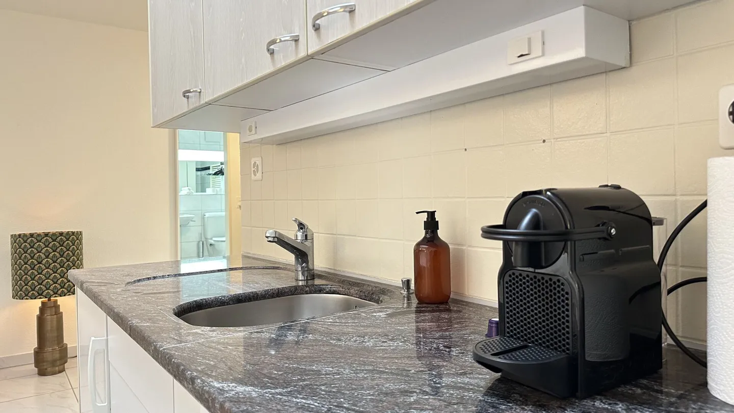 Pulp Fiction Suite Appartamento elegante con 1 camera a Zurigo (completamente arredato) - Foto 8 di 8