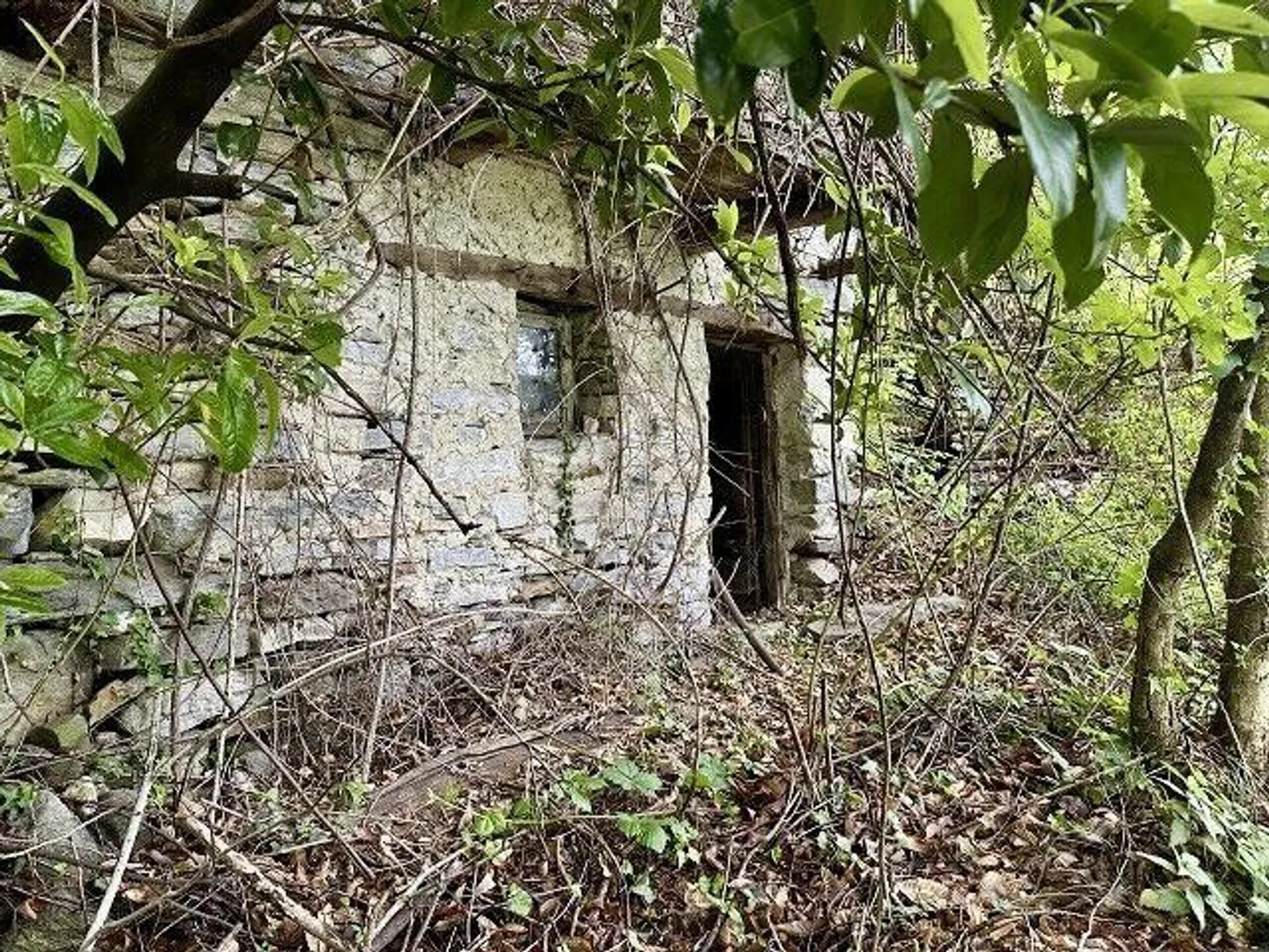 Charmantes Rustico mit Seeblick - Foto 6 von 19