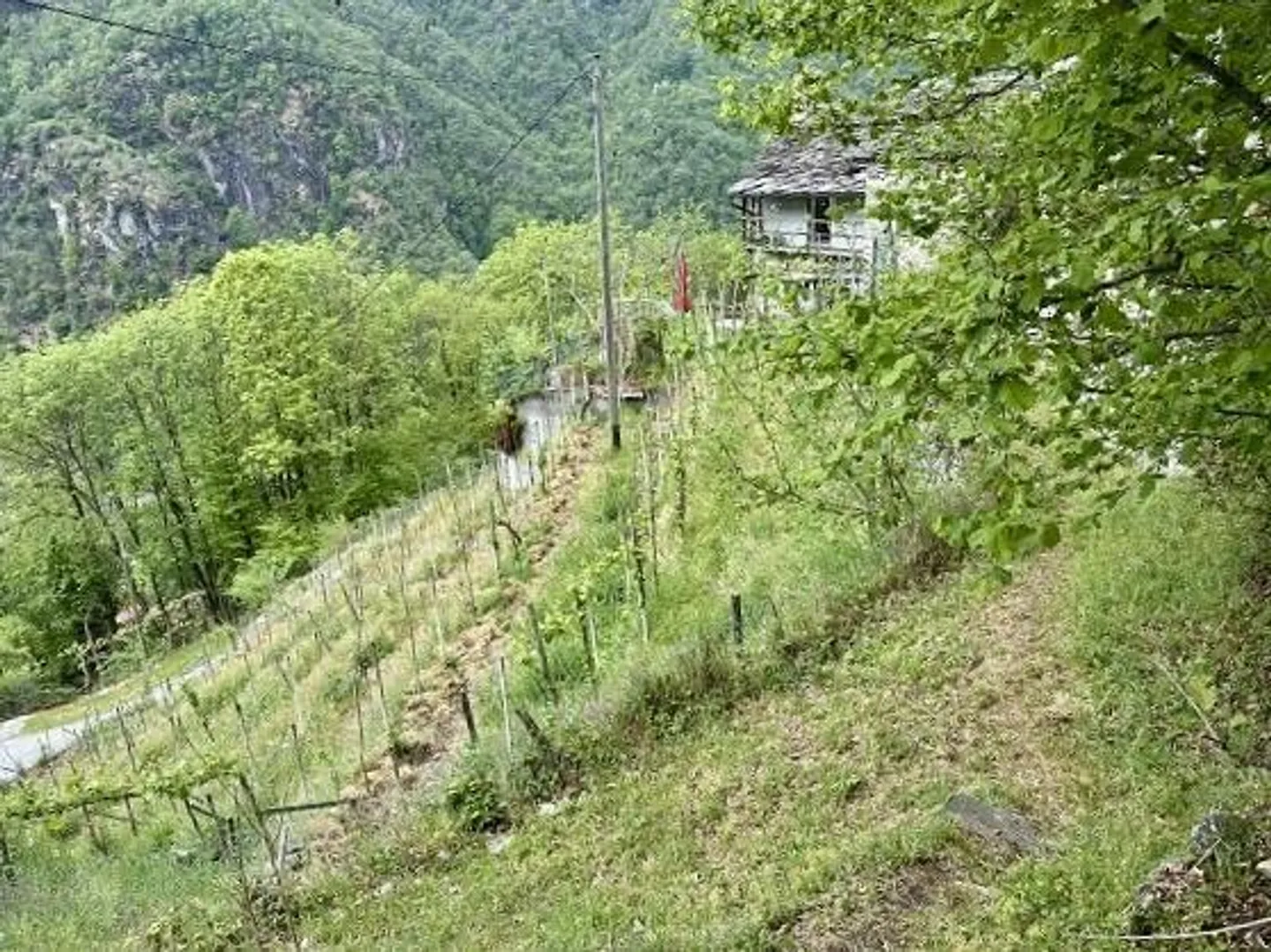 Charmantes Rustico mit Seeblick - Foto 14 von 19