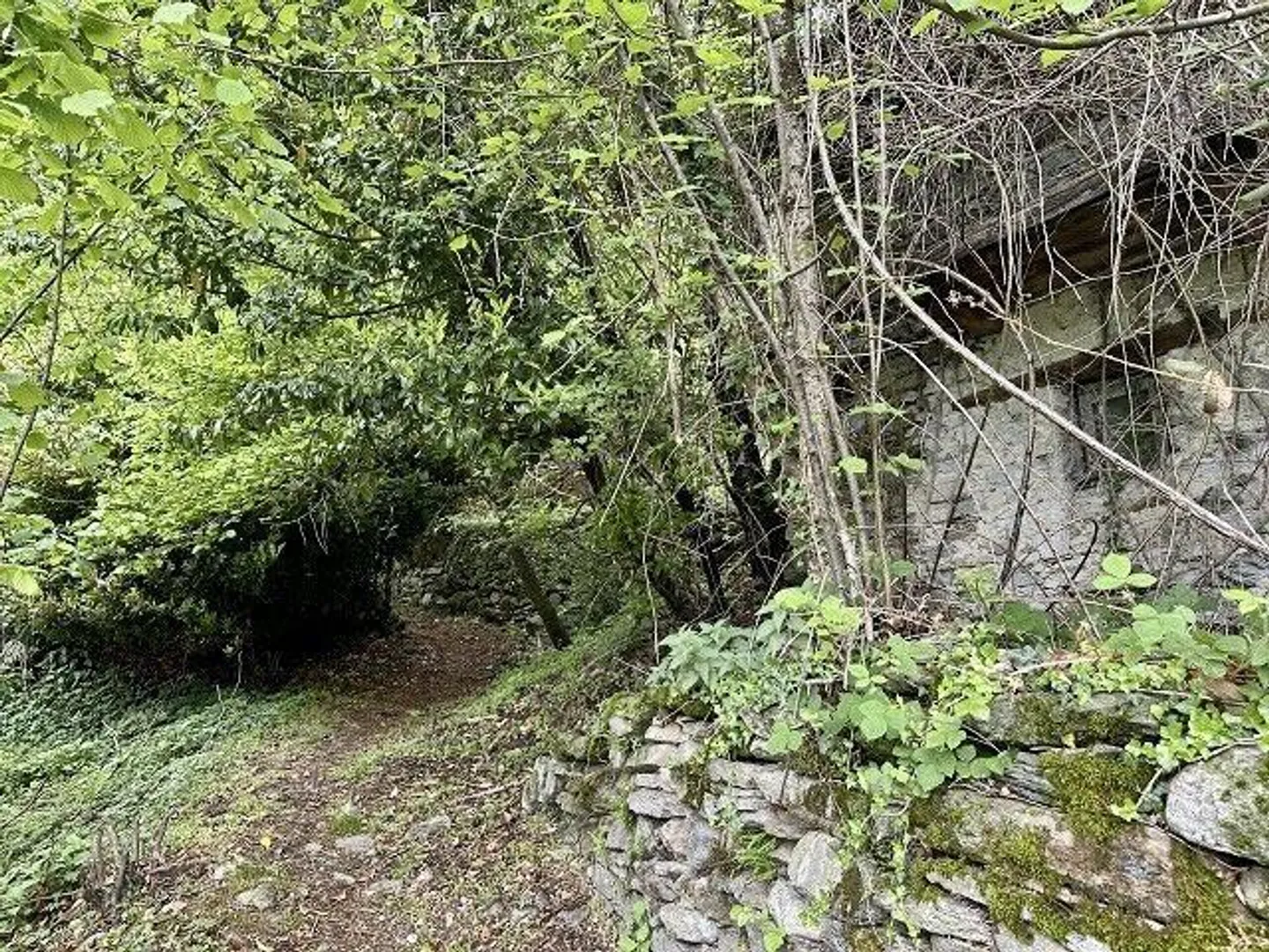 Charmantes Rustico mit Seeblick - Foto 15 von 19