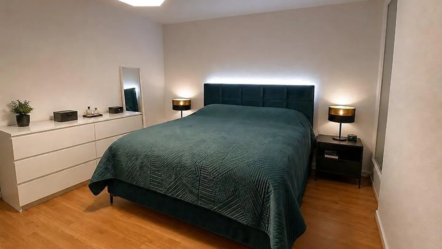 3½ ROOM APARTMENT IN HEDINGEN (ZH), FURNISHED, TEMPORARY - Photo 5 of 10