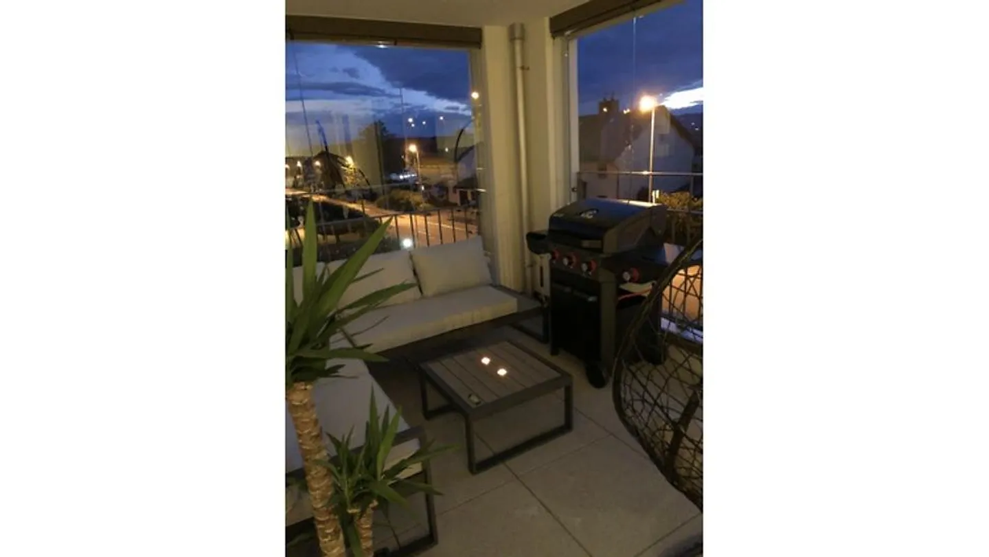 3½ ROOM APARTMENT IN HEDINGEN (ZH), FURNISHED, TEMPORARY - Photo 7 of 10