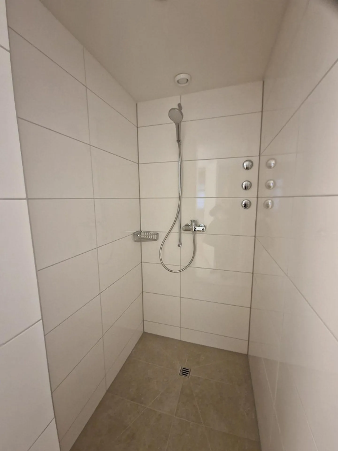 Ottimo appartamento singolo recentemente ristrutturato nel centro di Herisau - Foto 8 di 10