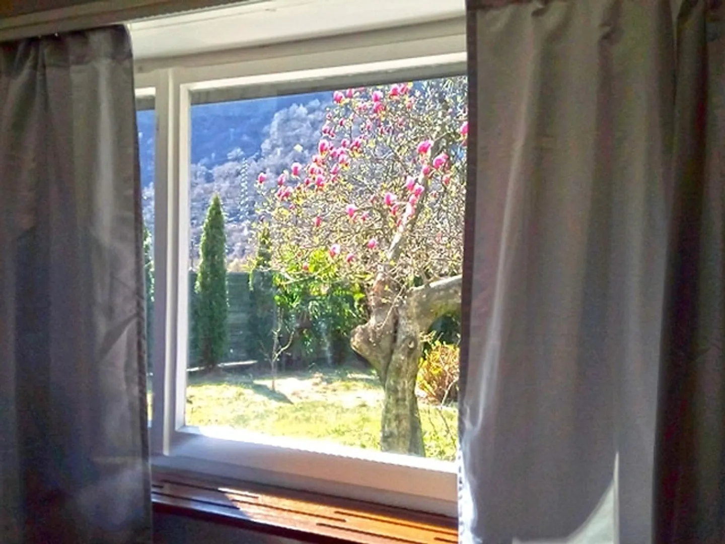 BODIO - VILLA CON PISCINA - 11.0 CAMERE - Foto 6 di 6